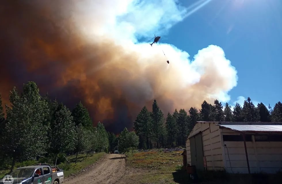 Incendio forestal en la zona de Aluminé.