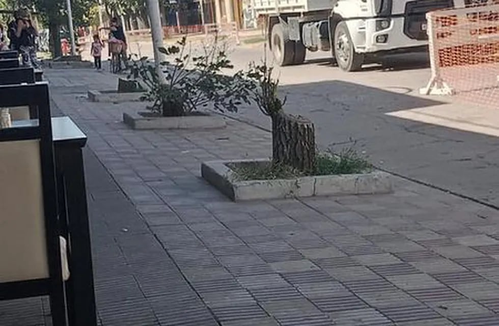 Vecinos de Pérez estallaron de ira por la poda de árboles de calle Morelli