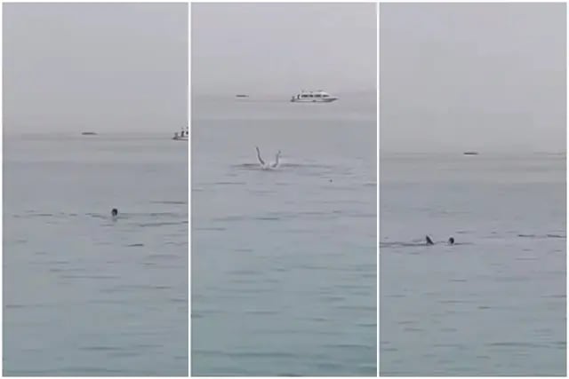 Turista ruso fue devorado por tiburón en una playa de Egipto