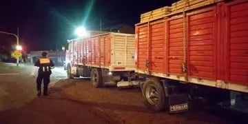 Camionero alcoholizado terminó detenido tras chocar en un control policial en Capioví