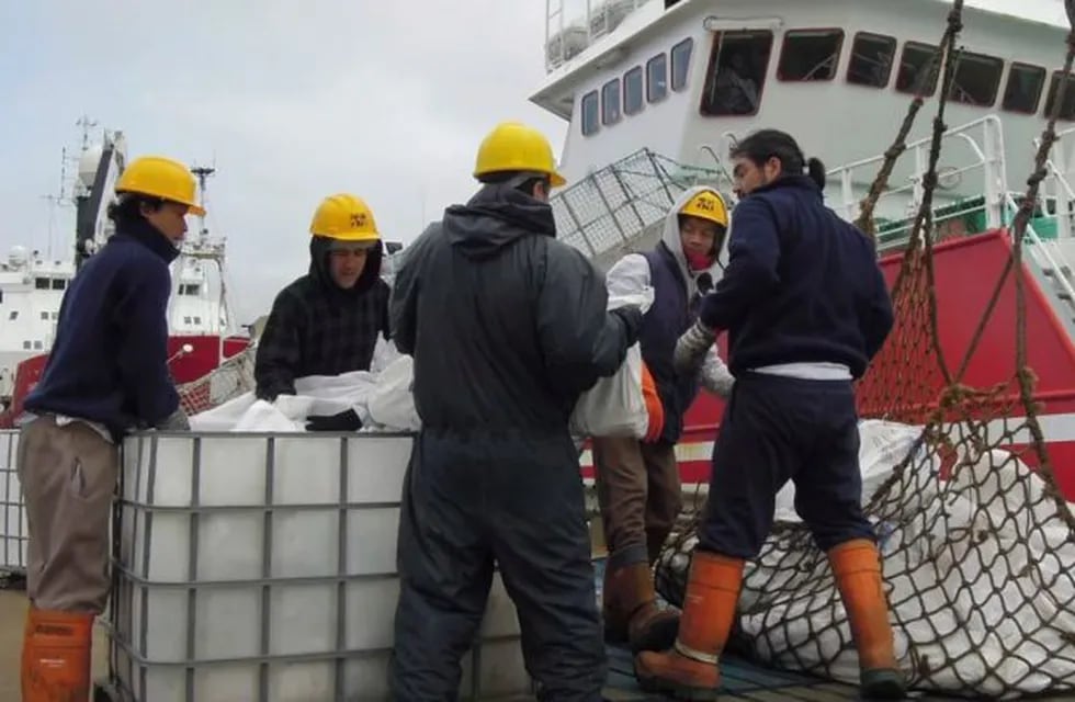 El Brexit preocupa a quienes viven de la pesca de calamar en las Islas Malvinas (Foto: AP)