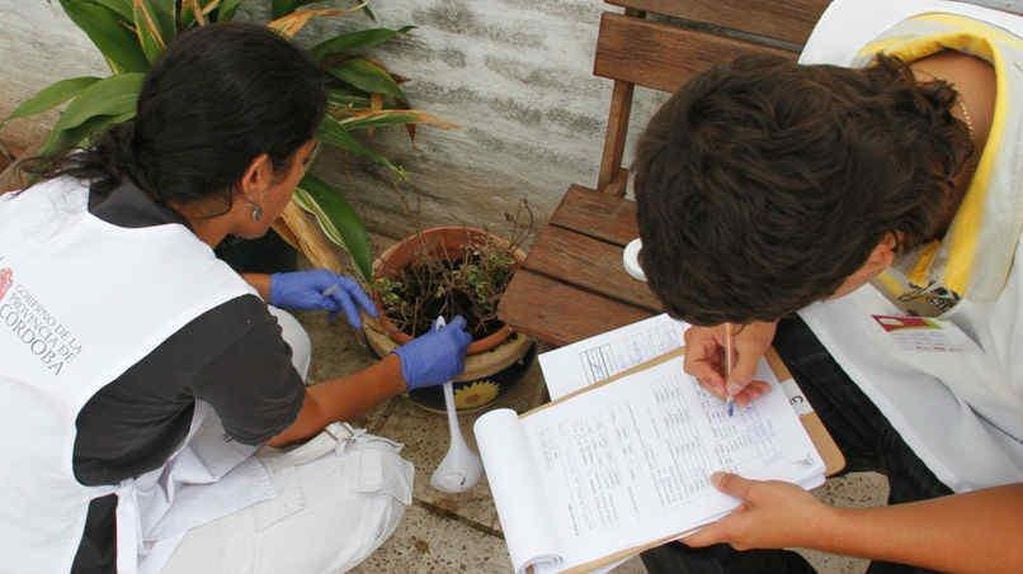 Los agentes revisarán casas en busca de potenciales criaderos (Gobierno de Córdoba)