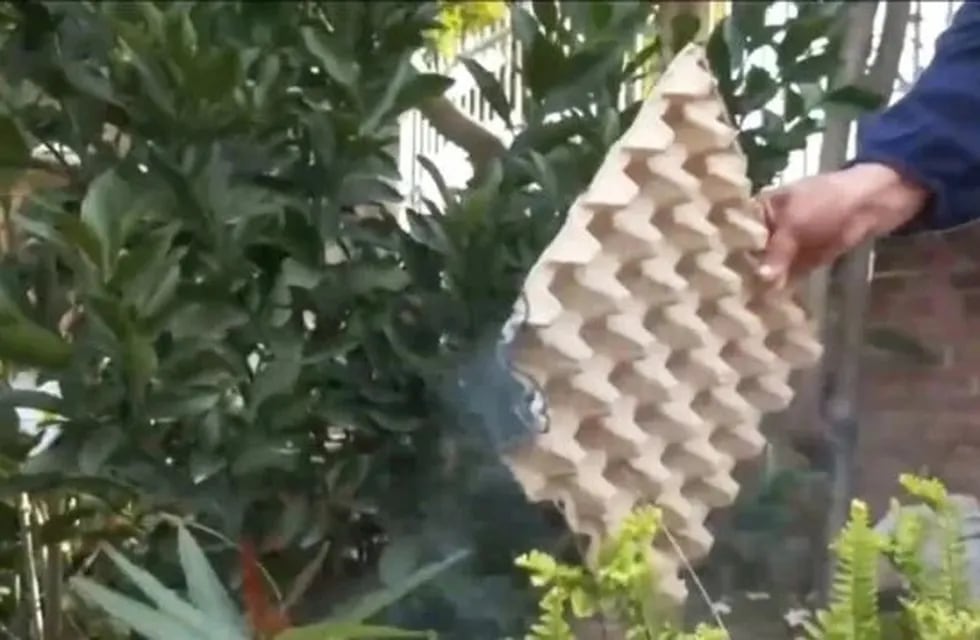Un hombre quemó maples de huevo para “ahuyentar” a los mosquitos y generó preocupación en los vecinos de Puerto Iguazú