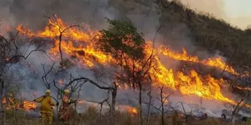 Incendio forestal - Jujuy