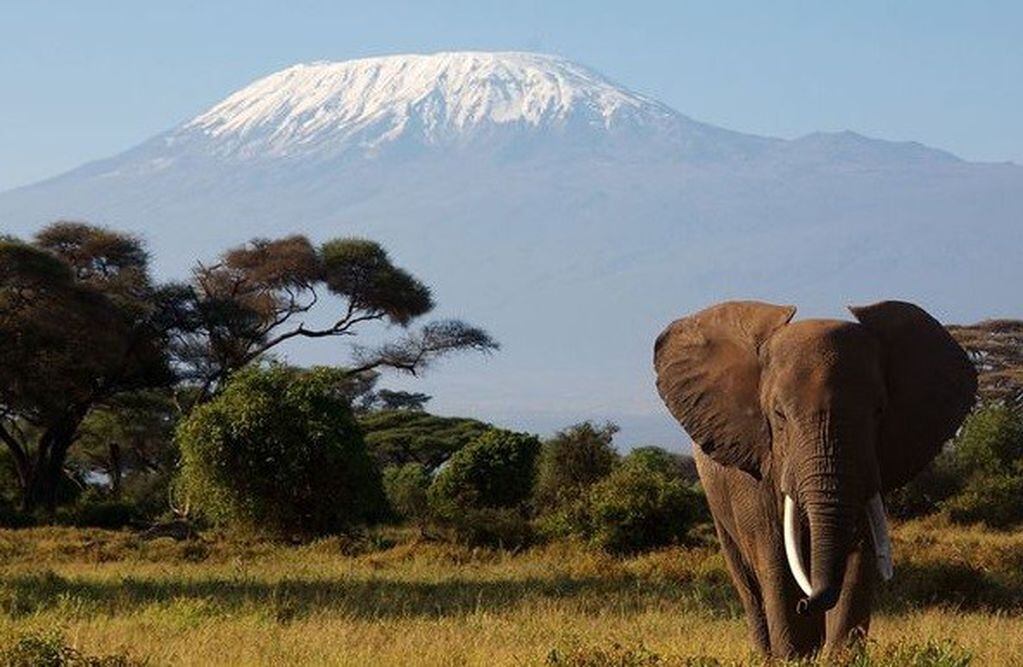 Kilimanjaro, de 5.895 metros.