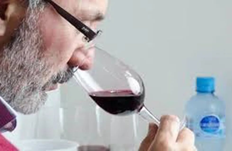 se lanzó la 22ª edición de la Evaluación de Vinos de San Juan (EVISAN).