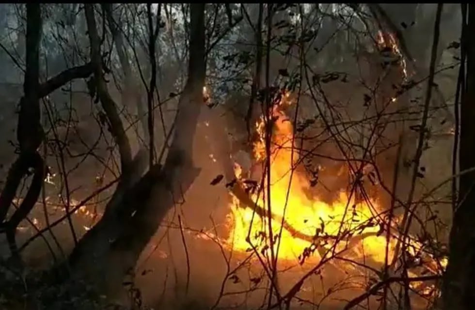 A última hora se produjeron dos nuevos incendios forestales en Jujuy
