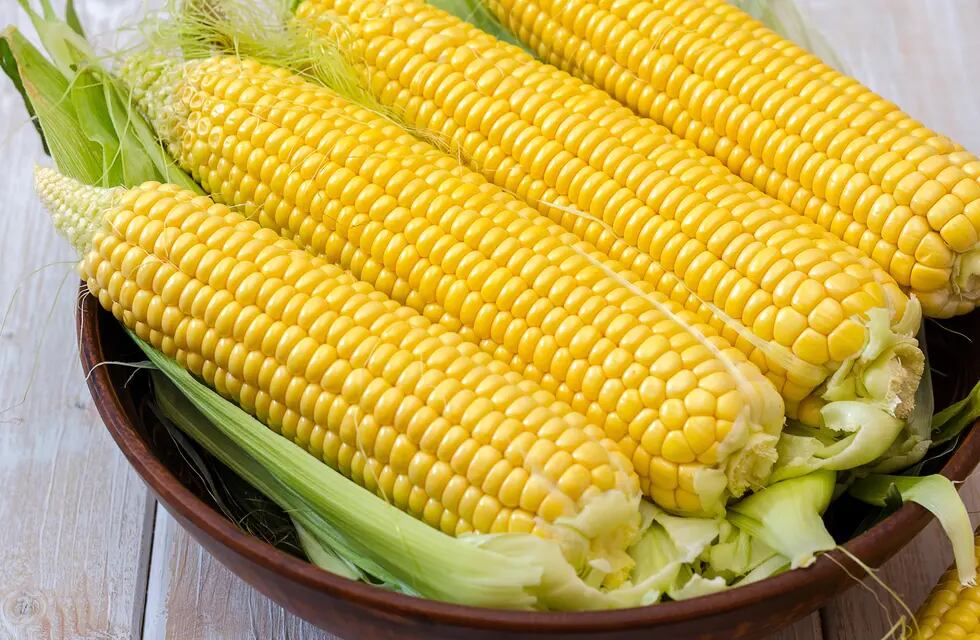 La historia del maíz, un alimento ancestral de gran valor, y una receta que  no te podes perder