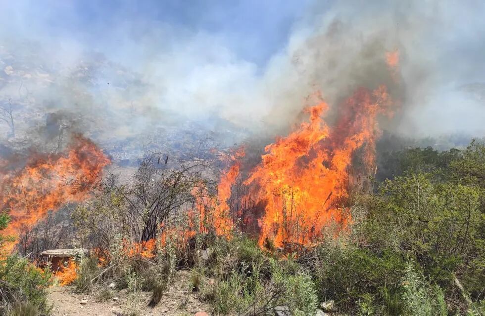 Este 26 de enero se registraron varios incendios provocadois por asados mal apagados en la zona de El Salto. Nicolás Ríos/Los Andes