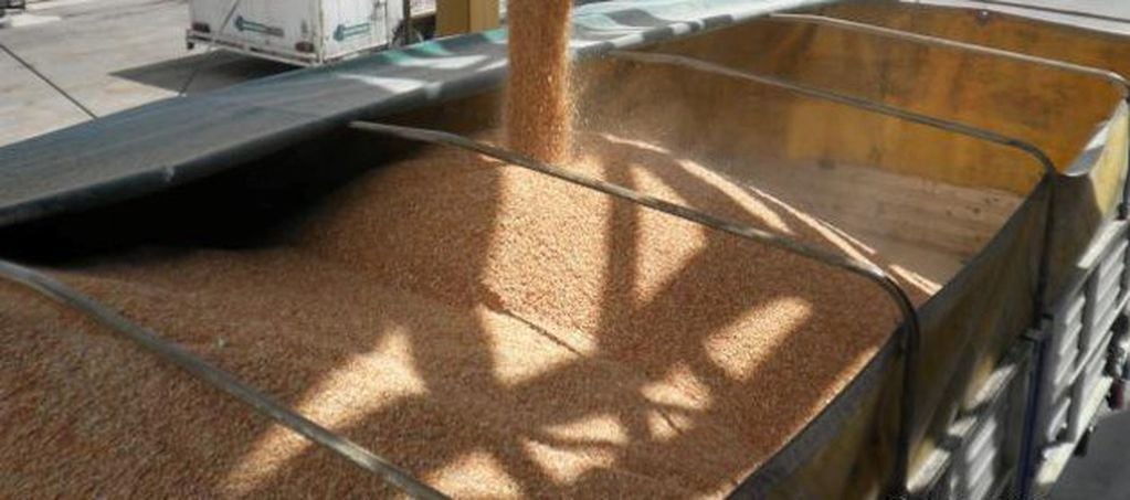 La Bolsa rosarina aumentó en un millón de toneladas la previsión de producción de soja