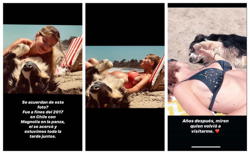 La China Suárez fue visitada por el perro "cigüeña" y sus seguidores lo tomaron como un indicio de embarazo (Foto: Instagram/ @sangrejaponesa)
