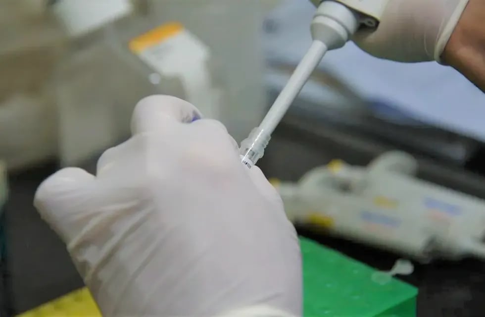 Los análisis de laboratorio dieron resultado positivo para dengue en un paciente de El Ceibal.