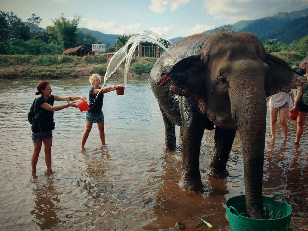 Los refugios de elefantes de Tailandia pueden ser uno de los destinos ideales para los cancerianos.