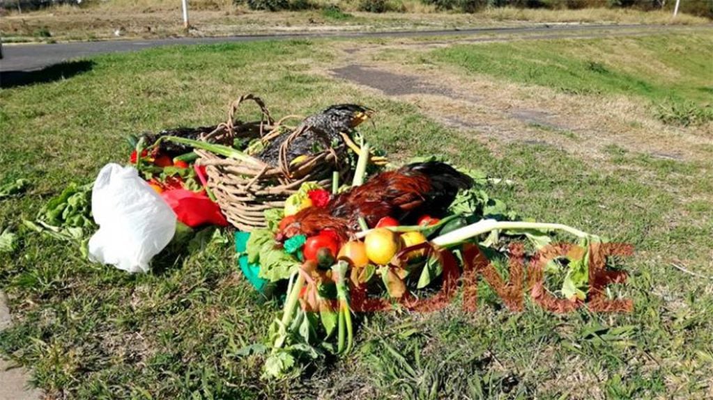 Tras gallos muertos: realizaron un supuesto "ritual satánico" en la zona del Parque Nuevo de Paraná. Fotos: ElOnce.