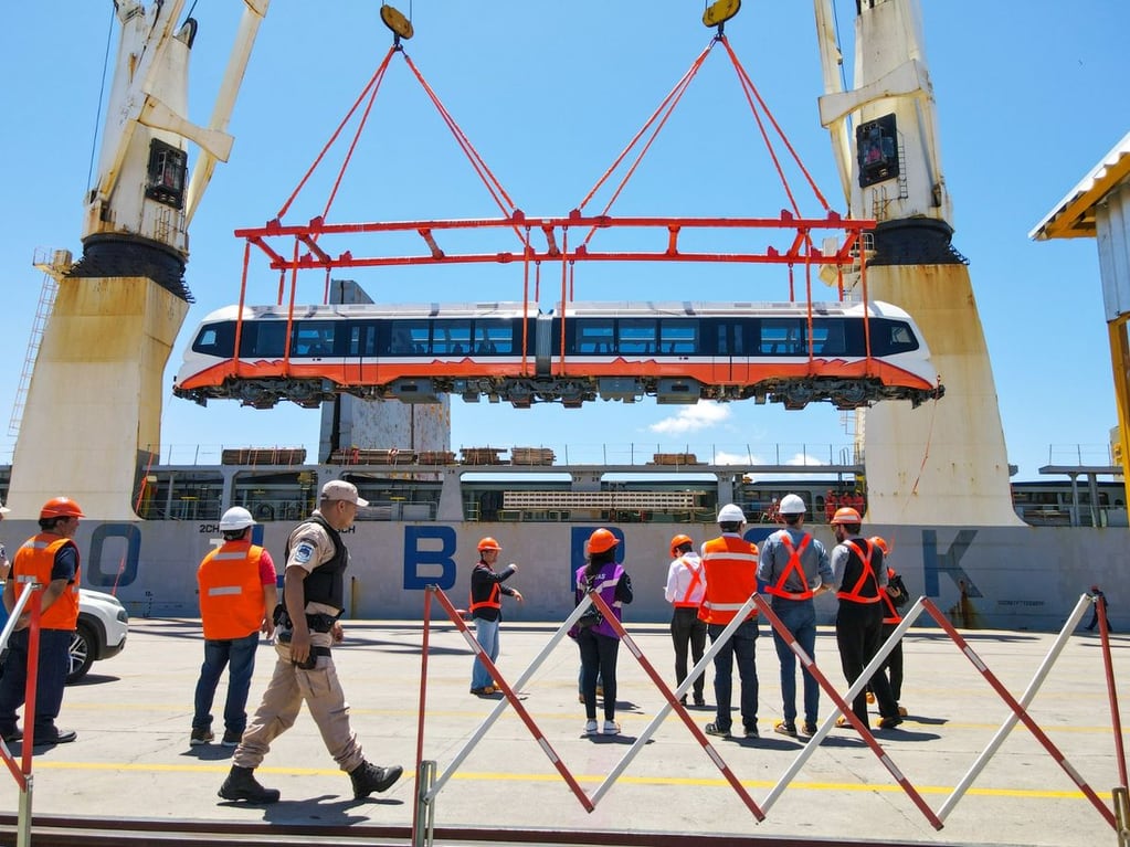 Personal de la Aduana se apresta a realizar una inspección de rutina a las unidades que arribaron al puerto de Zárate procedentes de China.