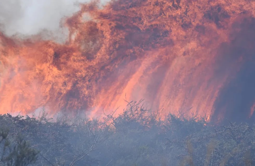 Los incendios forestales se replican día a día en Córdoba. (La Voz)
