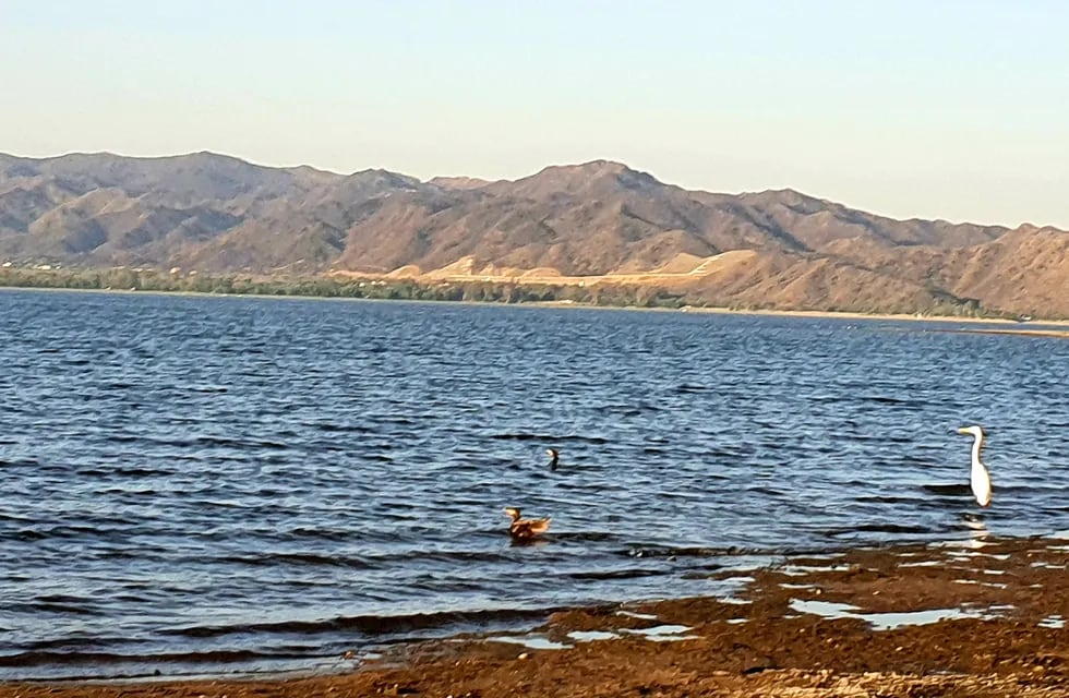 A la vera del lago. Primavera 2020 en Carlos Paz. (Foto: VíaCarlosPaz).