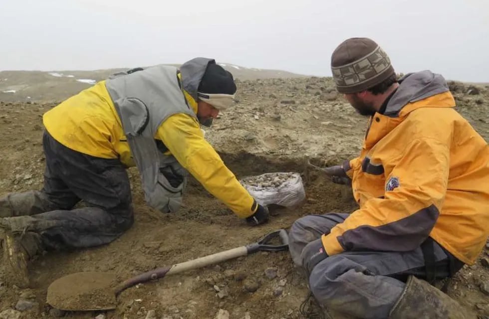 Descubrieron en la Antártida un reptil gigante de la última época de los dinosaurios (Agencia CTyS-UNLaM)
