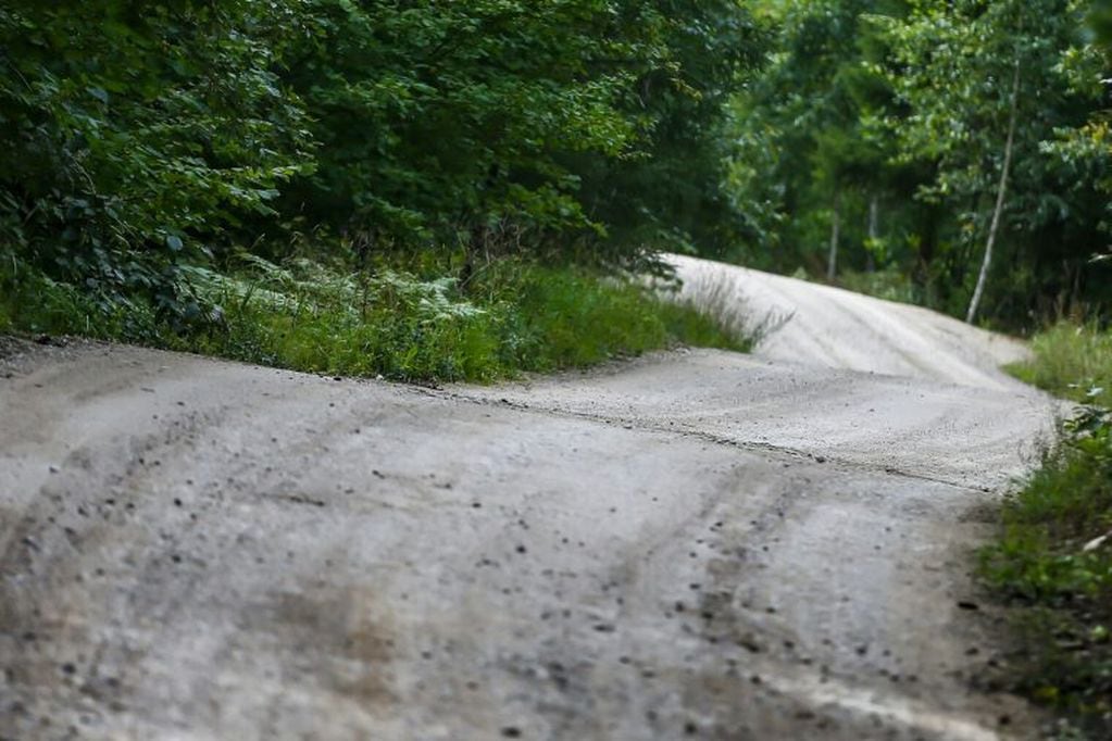 Así son los veloces caminos del Rally de Estonia, donde desde este viernes se relanza la temporada del WRC. Notable semejanza con los tramos de Finlandia, país vecino.