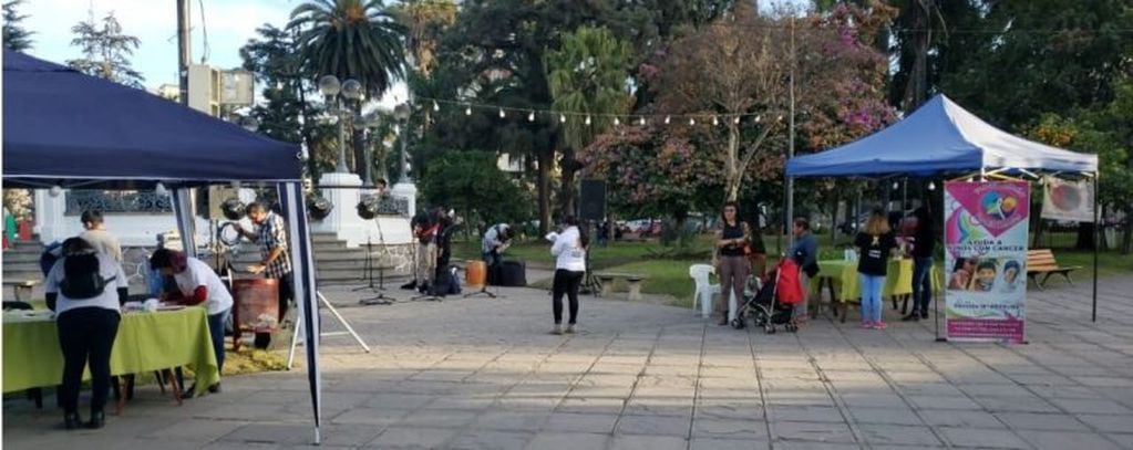 Con stands informativos y de recepción de donativos, se articuló la jornada solidaria en la plaza Belgrano, que fue amenizada con números artísticos a lo largo de la tarde.