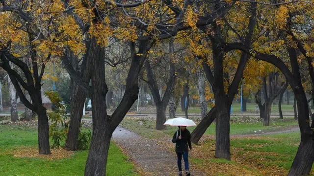  La humedad ha sido omnipresente en este otoño mendocino, ya que abril también había sido récord de lluvias.