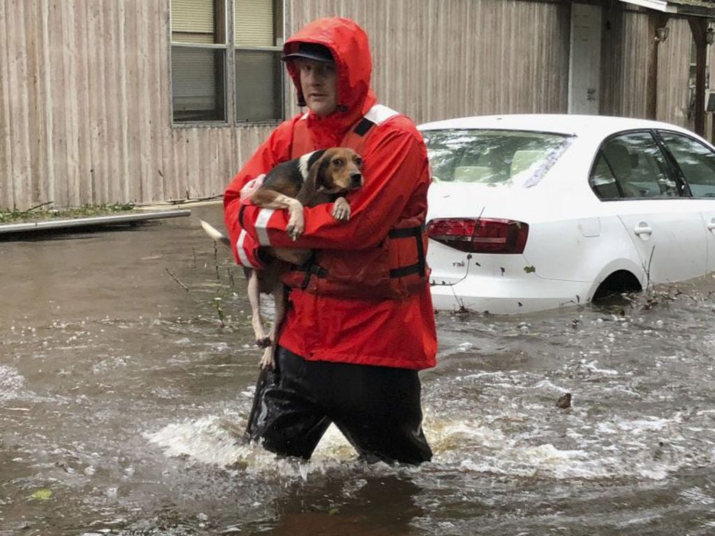 Un miembro del Equipo 3 del Barco de Respuesta de Aguas Superiores de la Guardia Costera rescatando mascotas atrapadas por inundaciones causadas por el huracán Florence cerca de Newport, Carolina del Norte el 16 de septiembre de 2018. (Foto: AFP)
