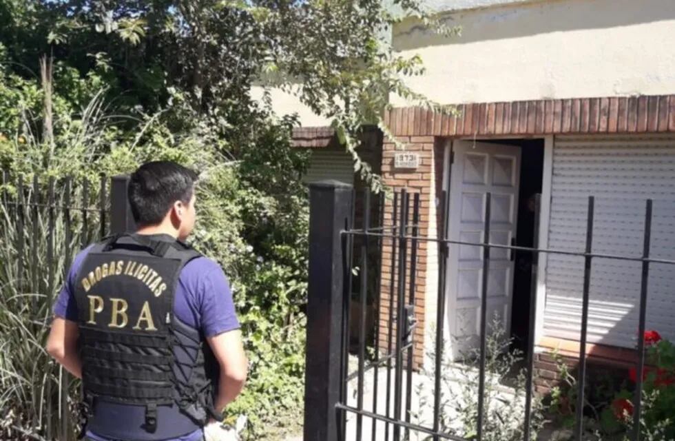 Secuestraron 17 plantas de marihuana en el patio de una vivienda