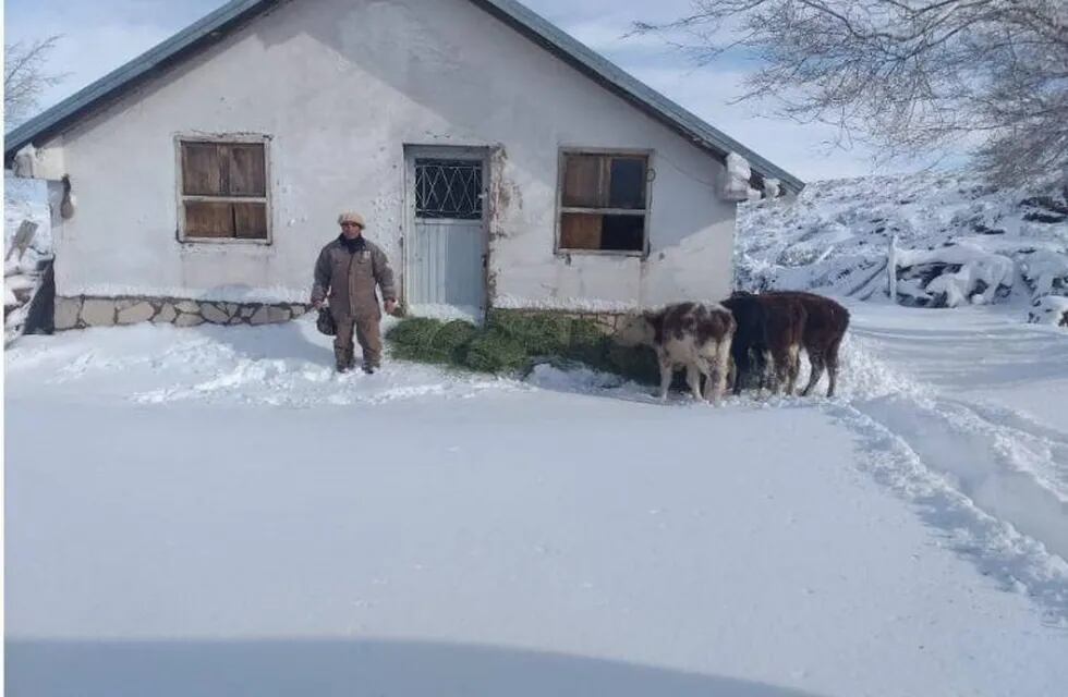 Vendió sus animales y compró una computadora para seguir estudiando