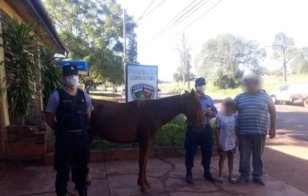 El caballo fue devuelto a sus dueños luego que la policía detuvo a quien lo había robado en la Zona Sur de Posadas. (Policía de Misiones)