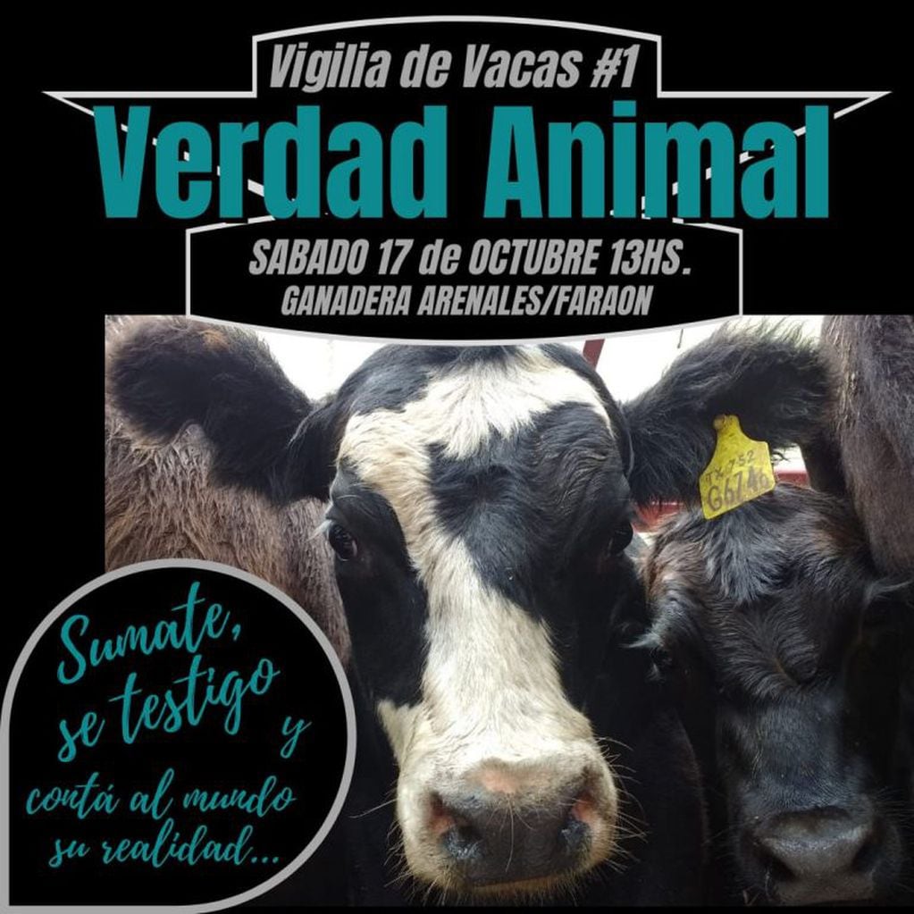 La convocatoria de los activistas veganos (Foto: Facebook)