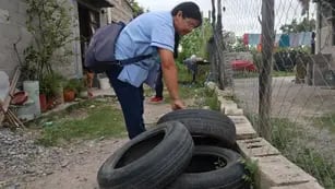 Dengue en Jujuy: informe oficial