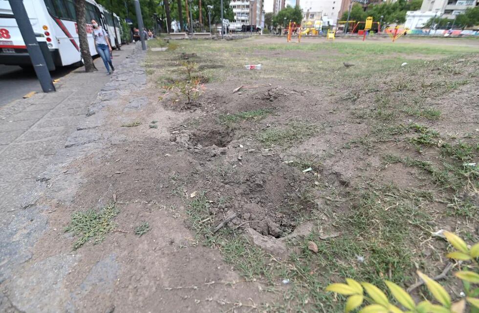 En la ciudad de Córdoba se roban hasta las plantas de los espacios públicos del centro.
