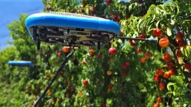 Drones autónomos que trabajan en la recolección de frutas en campos. Inteligencia artificial.