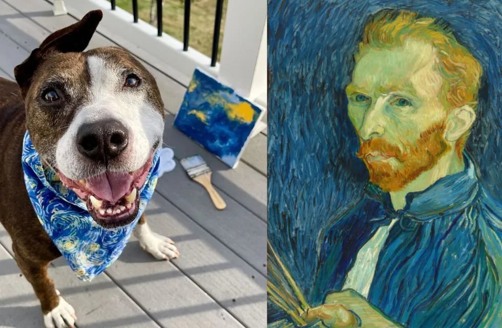 Perrito Van Gogh