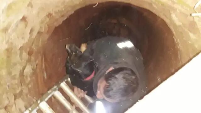 Apóstoles: Bomberos rescatan a un perro que cayó a un pozo