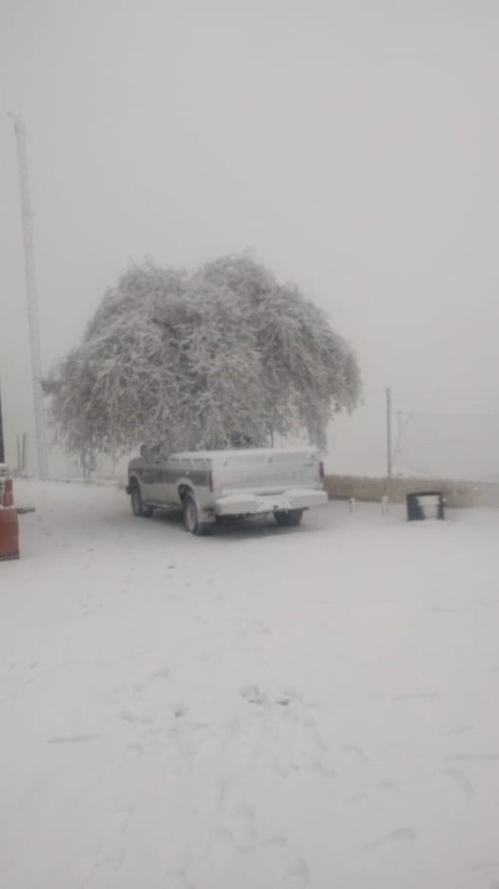 La escuela Ceferino Namuncurá en las Altas Cumbres de Córdoba tras la nevada de este miércoles 22 de mayo. (Noelia Britos, docente)