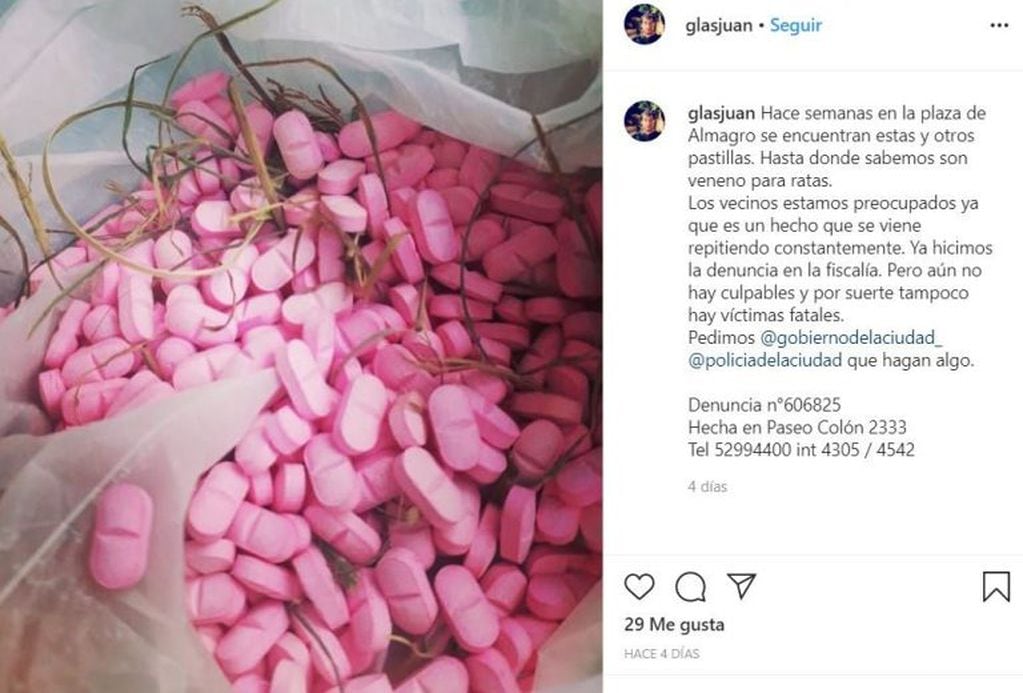 Vecinos denuncian que tiran pastillas para envenenar a los perros en una plaza de Almagro (Foto: captura Instagram)