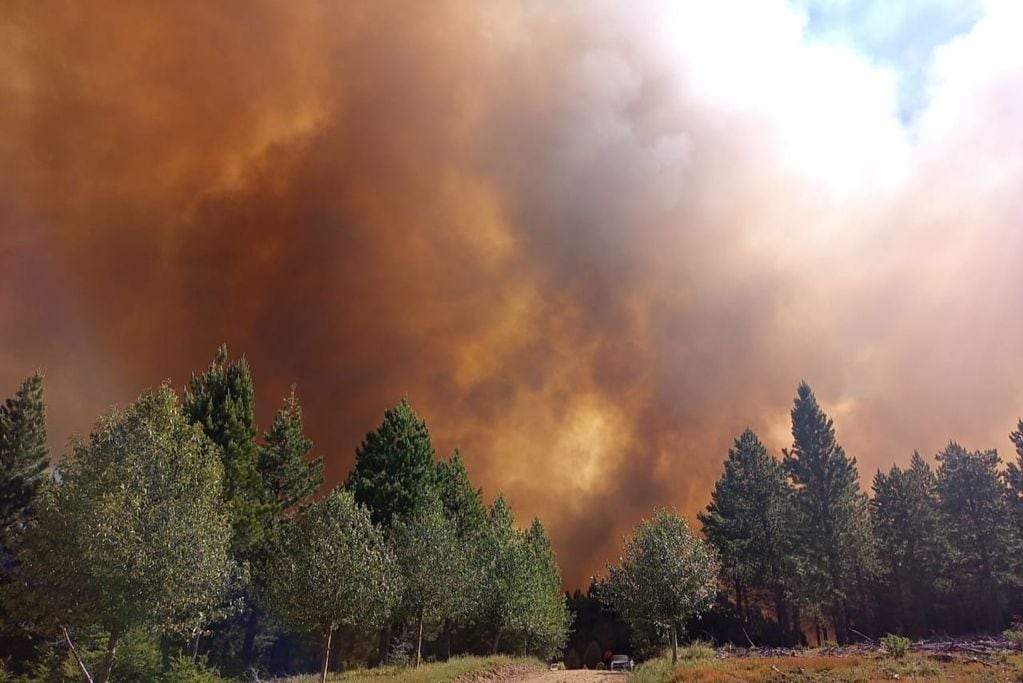 El incendio forestal en la zona de Aluminé fue desatado por un rayo.