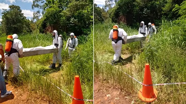 Puerto Iguazú: encontraron un cadáver en avanzado estado de descomposición entre las malezas