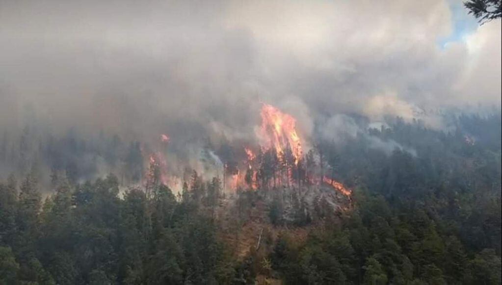 El fuego desatado en El Bolsón ya se cobró 220 hectáreas.