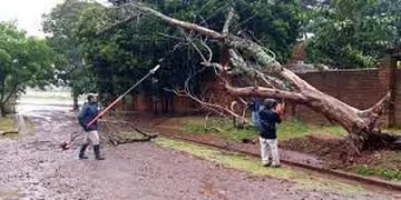 Caída de árboles y fallas de energía eléctrica en Eldorado