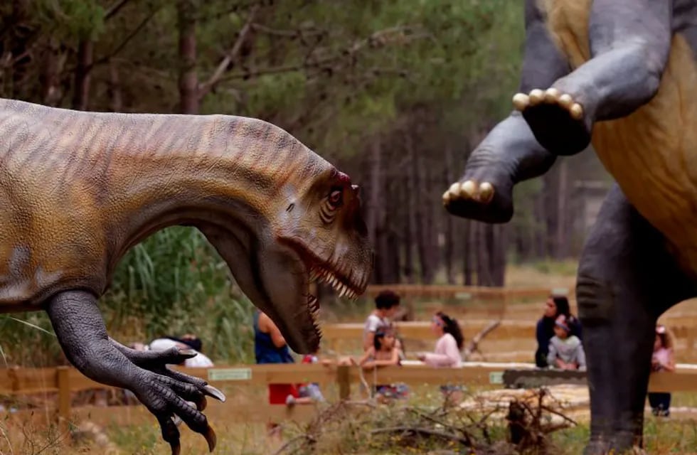 People visit the Dino Park, an outdoor museum with more than 120 models of dinosaurs, in Lourinha on July 9, 2018.\r\nThis town of 25,000 inhabitants, located 70 km north of Lisbon, was already among the world's leading palaeontology thanks to its deposit of dinosaur fossils, with a dozen species discovered since the end of the 19th century. / AFP PHOTO / JOSE MANUEL RIBEIRO portugal  Dino Park museo al aire libre con más de 120 modelos de dinosaurios paleontologías más importantes del mundo gracias a su depósito de fósiles de dinosaurios