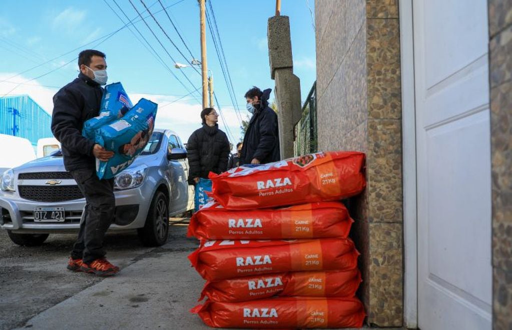 Se entregaron más de 950 kilos de alimentos a protectoras de animales de Río Grande.