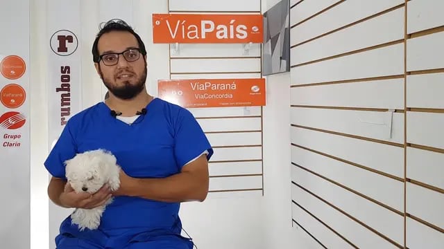 médico veterinario Santiago González