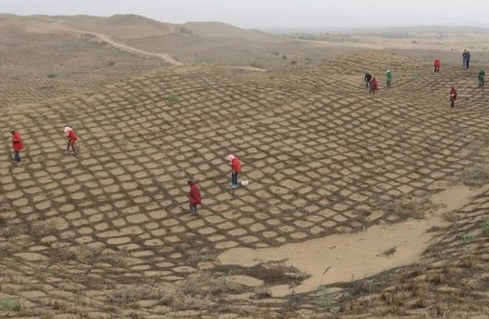 El desierto que floreció en China