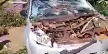 Montecarlo: un auto fue aplastado por un árbol en la ruta 12