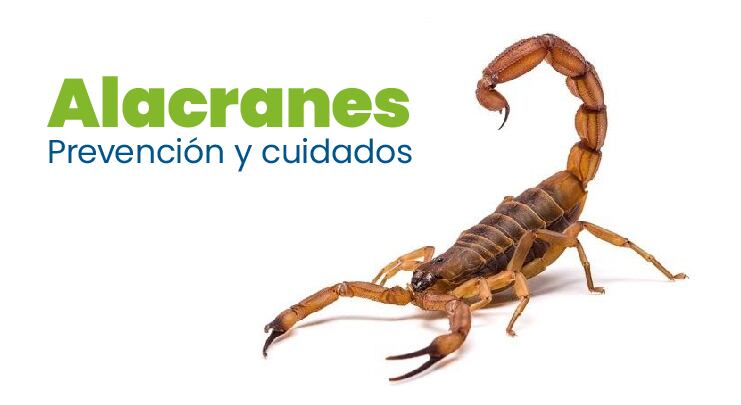 Alacranes