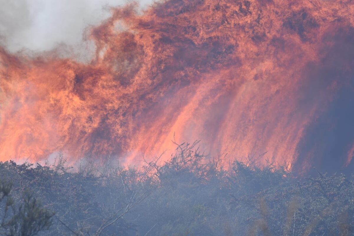 Punilla: los incendios no dan tregua y hay varios focos activos en la zona