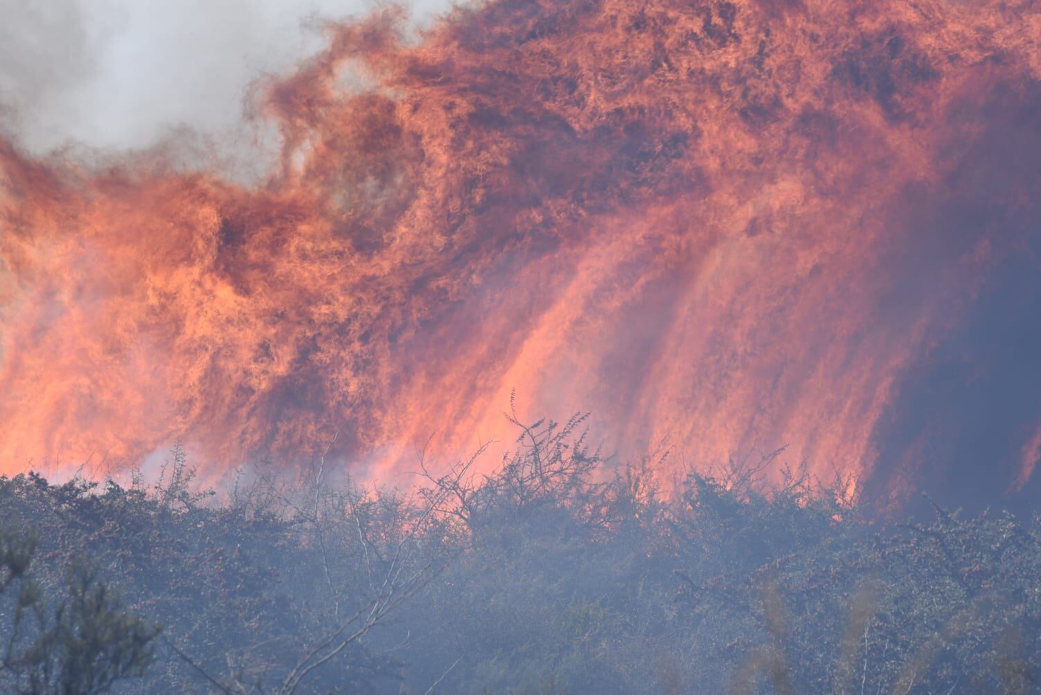 Incendio en Huerta Grande. (La Voz)