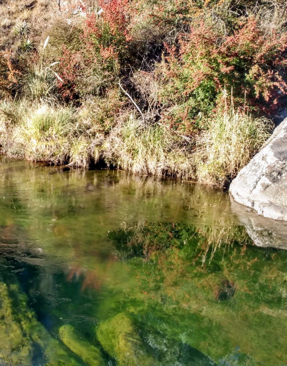 Río de Los Reartes.